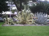 PIC00100.webp