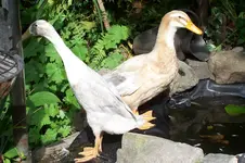 100_8152.webp