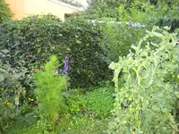 IMG_0188.webp