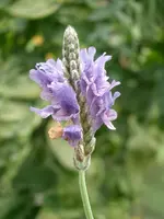 CIMG4146.webp