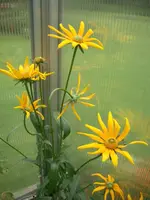 CIMG4156.webp