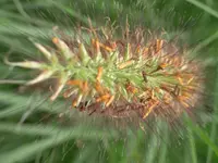 CIMG4178.webp