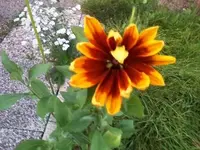 24-09-08_1902.webp