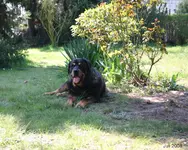 2 Garten.webp