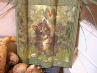 DSCN0491.webp