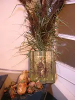 DSCN0487.webp