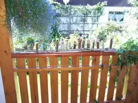 wichtel.webp