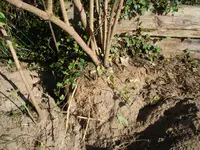 DSC02858.webp