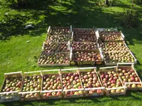 IMG_0228_2.webp