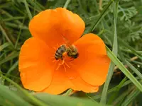 Ulaub Susi 2008 048.webp
