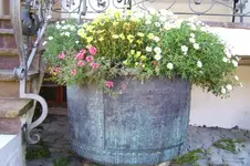 K800_100_0853.webp
