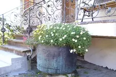 K800_100_0852.webp