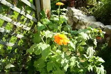 K800_100_0855.webp