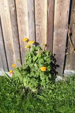K800_100_0856.webp