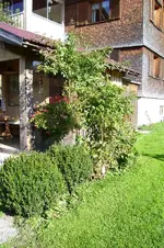 K800_100_0857.webp