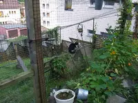 P9251183.webp