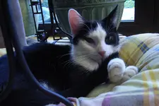 RIMG0135.webp