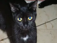RIMG0048.webp