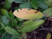 IMGP1597.webp