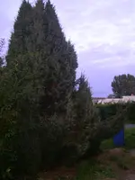 SANY0646.webp