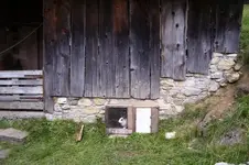 K800_100_0874.webp