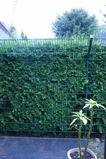 RIMG0004.webp