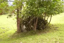K800_100_0861.webp