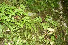 K800_100_0897.webp