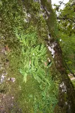 K800_100_0899.webp