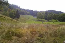 K800_100_0865.webp