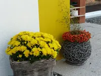 Herbstdeko.webp