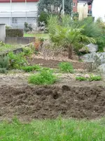 Gemüsegarten.webp