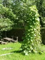 Klettermischung.webp