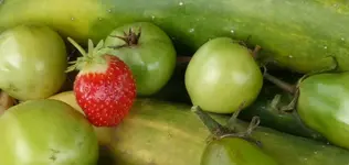 letzte Ernte.webp