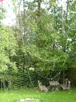 Spinnennetz1.webp