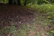 K800_100_0890.webp