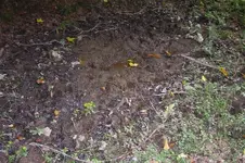 K800_100_0891.webp