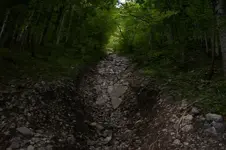 K800_100_0902.webp