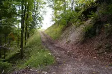 K800_100_0893.webp