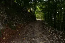 K800_100_0900.webp
