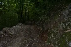 K800_100_0901.webp
