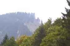 K800_100_0881.webp