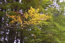 K800_100_0889.webp