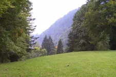 K800_100_0888.webp