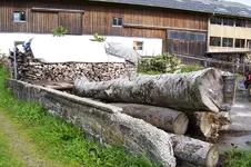 K800_100_0917.webp