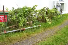 K800_100_0911.webp