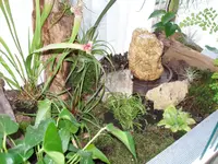 Terrarium-2.webp