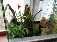 Terrarium-3.webp