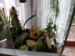 Terrarium-4.jpg