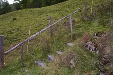 K800_100_0993.webp